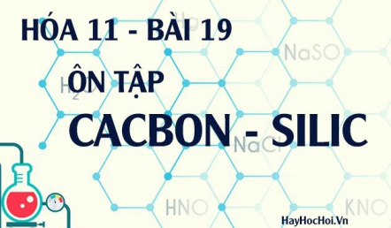 Bài tập ôn tập Cacbon, Silic và hợp chất của Cacbon, Silic - hóa 11 bài 19